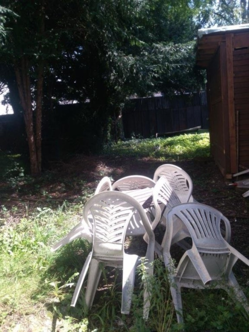 (77-0) ab sofort/1 Wohnung 2 Zimmer Kü, Bad für 2 Personen/möbliert, Garten – Ringenstraße, 51067 Köln Holweide – Vorschaubild 19