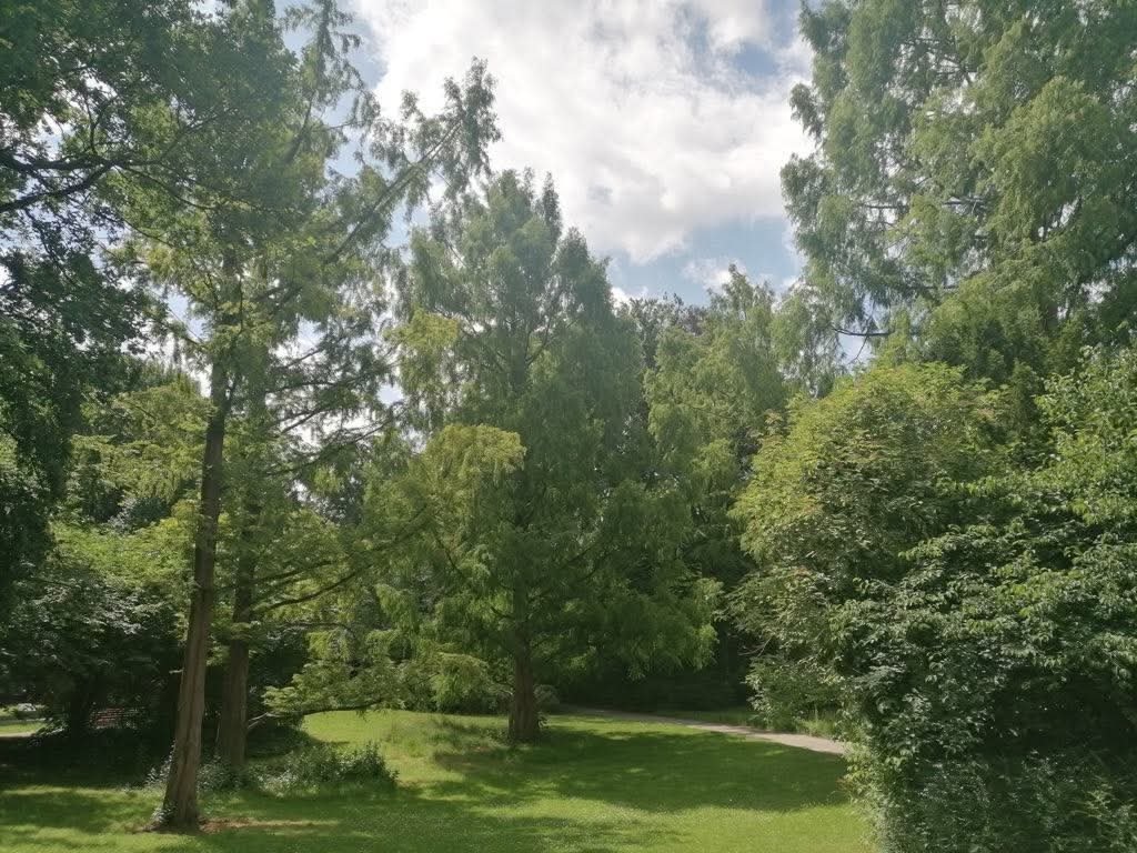 Schönes helles möbliertes Zimmer mit großem Balkon in 2.5Zimmer Wohnung in Steglitz.Zentral gelegen zur U-+S-Bahn Rathaus Steglitz.Ein möbiliertes Wohnzimmer zur Mitbenutzung.Die gesamte Wohnung ist hauptsächlich zur Alleinverfügung! – Sedanstraße 17a, 12167 Berlin Steglitz – Vorschaubild 16