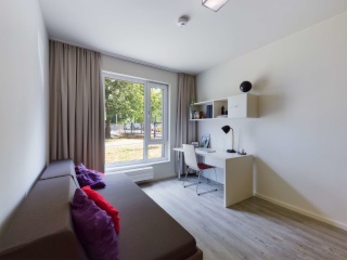 Anzeigenbild: DIE ZIMMEREI | Modernes 1-Zimmer Apartment in zentraler Lage | Bigger Bude