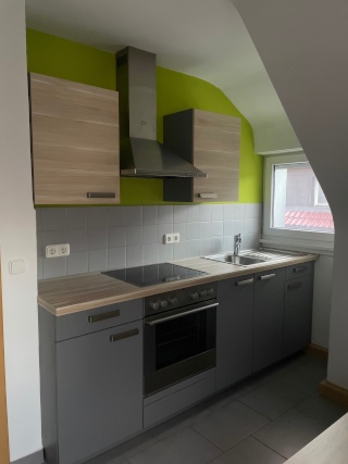 Anzeigenbild: 1 1/2 DG-Wohnung