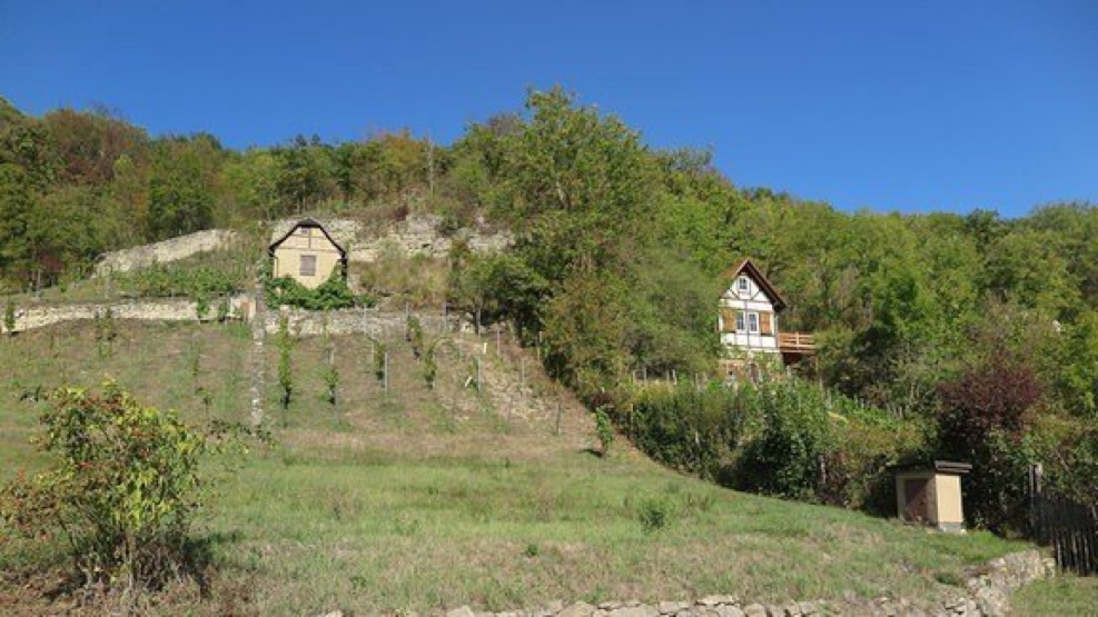 Imagen del anuncio: Schönes Gartengrundstück mit Häuschen gesucht