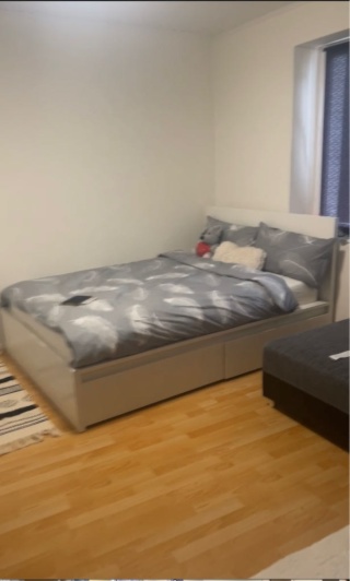 Anzeigenbild: Narmieter gesucht
