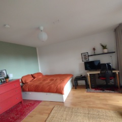 Anzeigenbild: One month in Summer  July/August 2026 Central apartment with a great view