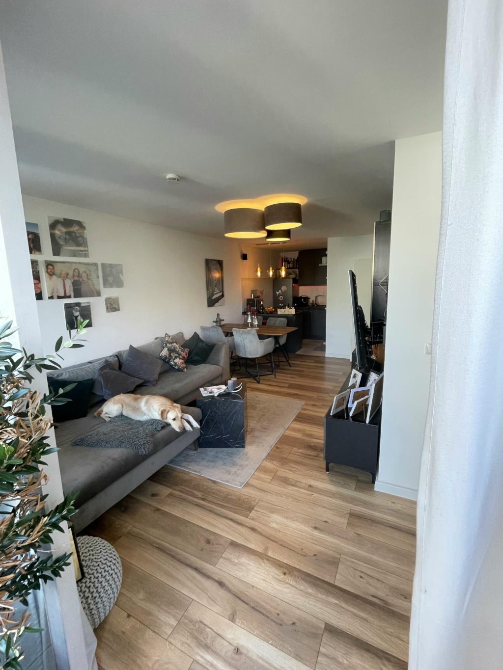 !TOP! Vollmöbliert und Renoviert in Top Lage am Leonrodplatz 2-Zi mit Balkon! – 80636 München Neuhausen-Nymphenburg – Vorschaubild 7