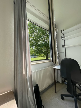 Anzeigenbild: Einzelzimmer-Apartment in Mainz-Hechtsheim