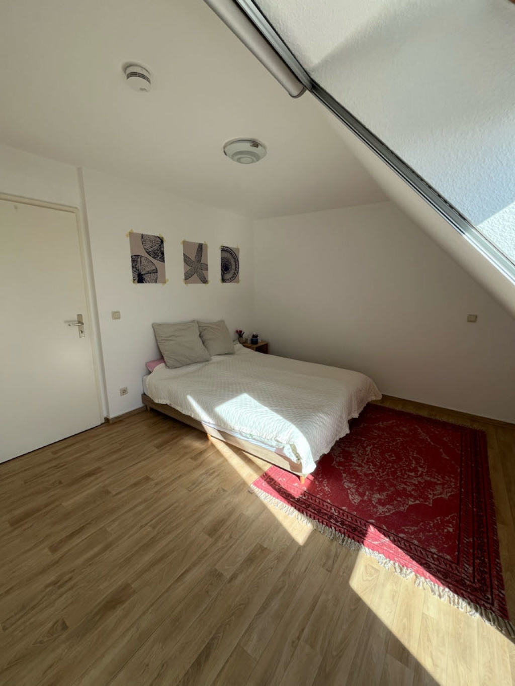 WG-Zimmer Knieper Carl-Ludwig-Schleich-Straße - Bild 1
