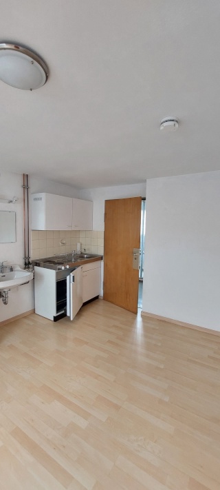 Imagen del anuncio: Mujer simpática buscando apartamento de 1 dormitorio