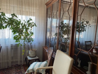 Anzeigenbild: Apartment for a pair/small family/single / für Paar/eine kleine Familie oder Single