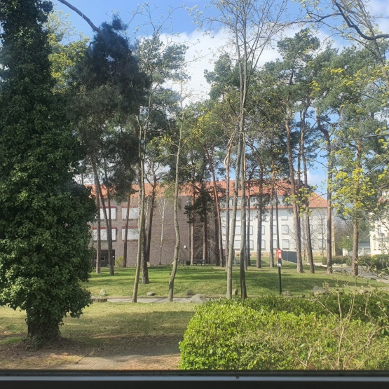 Ad image: Need any type of accommodation