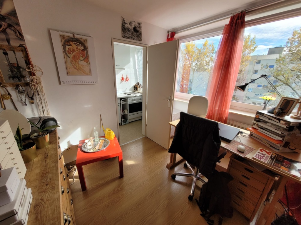 1-Zimmer-Wohnung Thalkirchen-Obersendling-Forstenried-Fürstenried-Solln Springerstraße - Bild 1