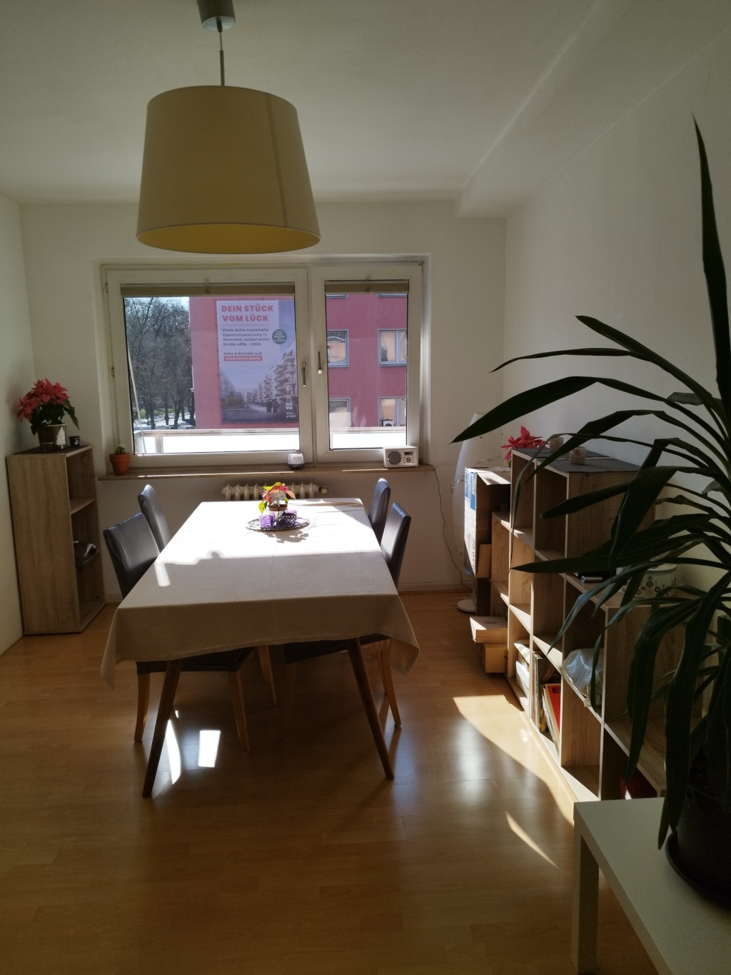 WG-Zimmer Lindenthal Universitätsstraße 77a - Bild 5