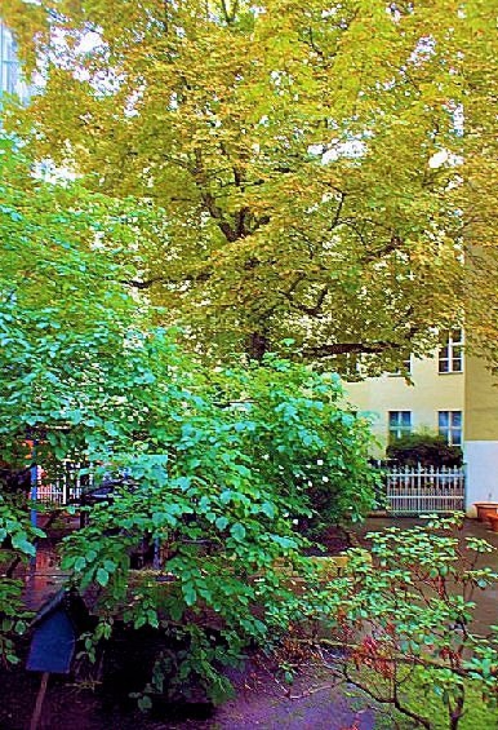 SUDSTERN HOME – Gneisenaustraße 56, 10961 Berlin Kreuzberg – Vorschaubild 2