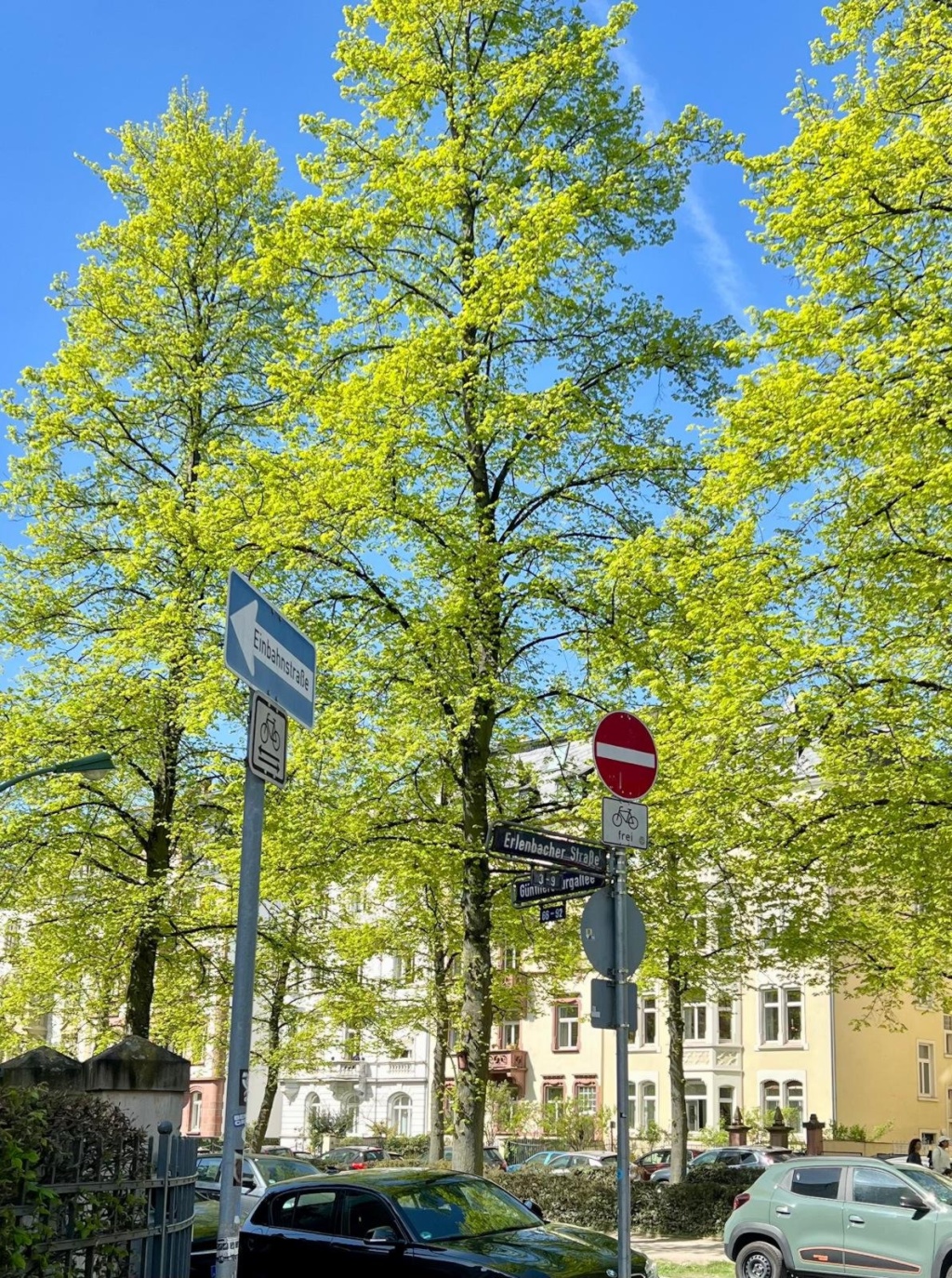 Flatshare Bornheim/Nordend Erlenbacherstr. - Die Erlenbacherstr.