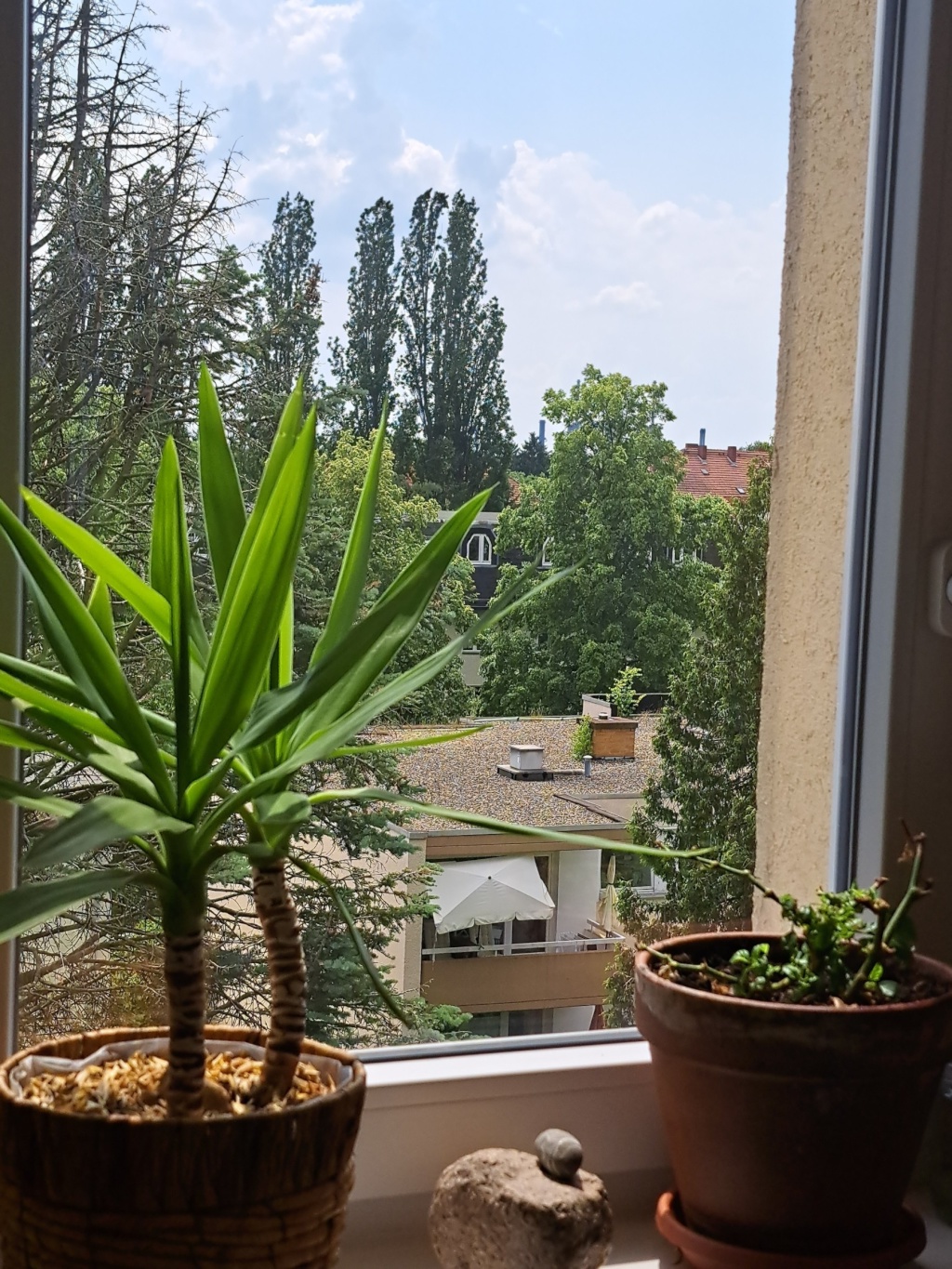Wohnung Steglitz-Zehlendorf Gardeschützenweg 11b - Bild 6