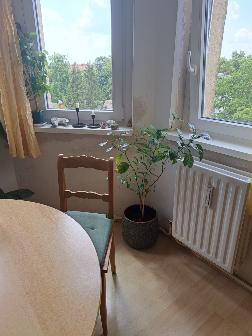 Wohnung Steglitz-Zehlendorf Gardeschützenweg 11b - Bild 2