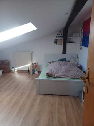 Anzeigenbild: helles WG Zimmer am Sund
