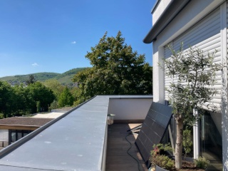 Anzeigenbild: Gratis Wohnen: Cat-/ Housesitting in Bingen am Rhein