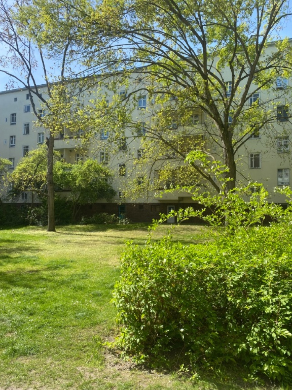 Flat Steglitz Jeverstraße - picture 7
