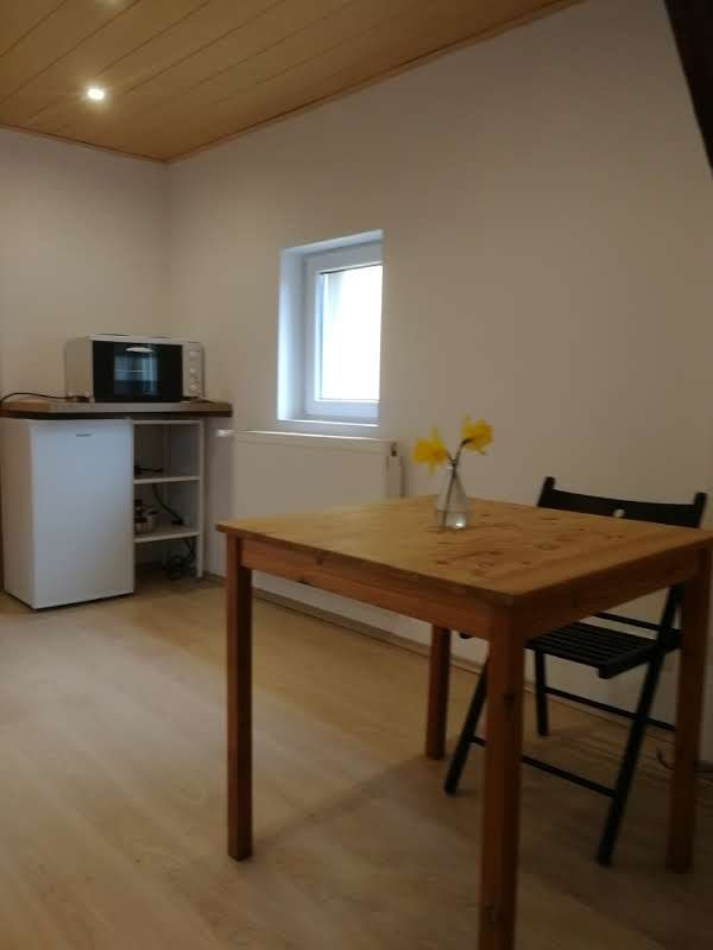 Schönes 1-Zimmer-Appartment in Heidingsfeld