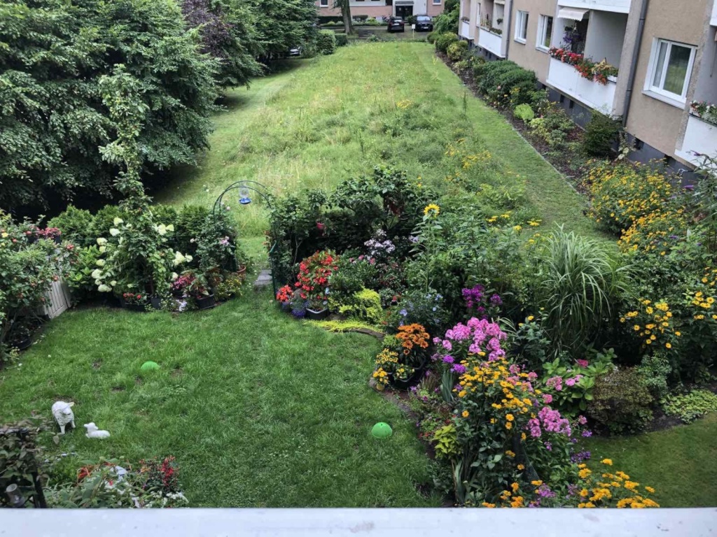 WG-Zimmer Wedding Londoner Straße - Innenhof