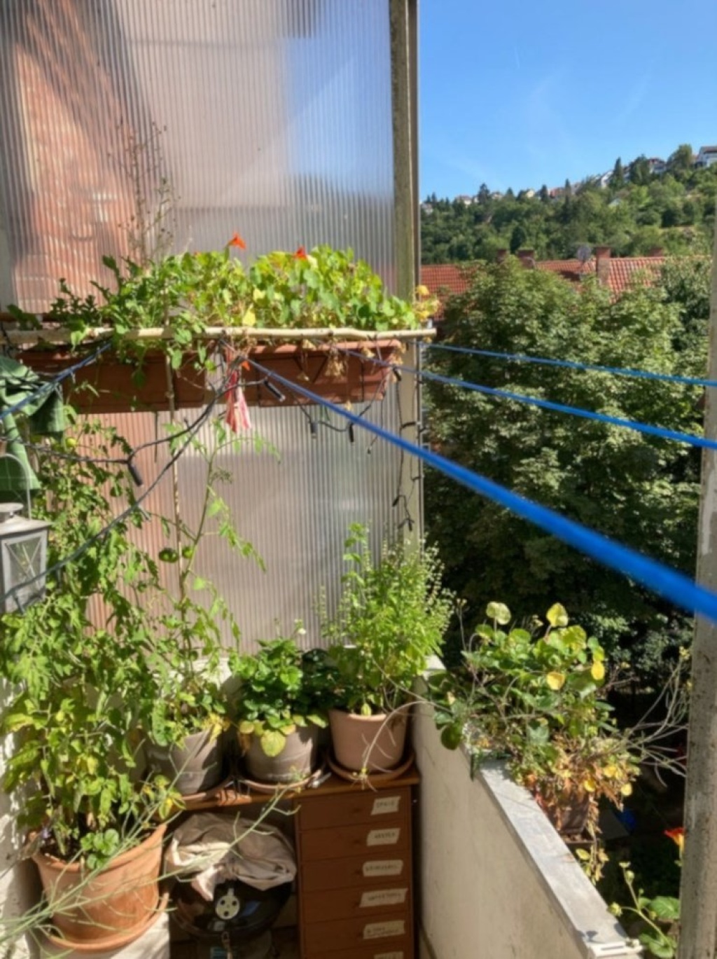 Habitación en WG Ost Schlößlestraße - Balkon