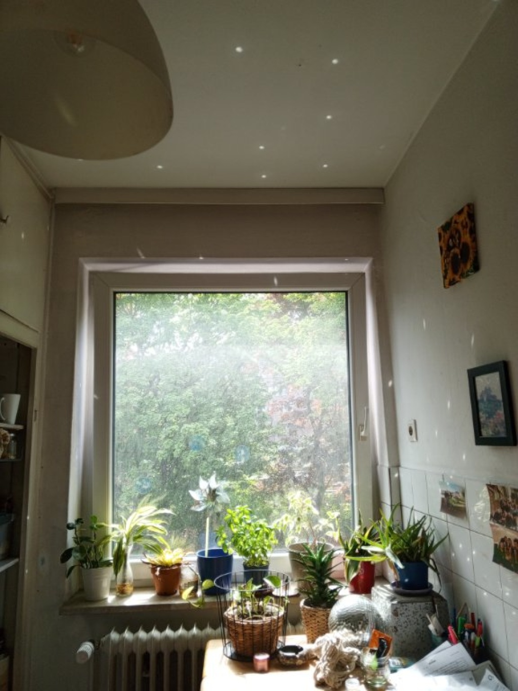 ZWISCHENMIETE. 1 Zimmer Wohnung – Holstenstr, 22769 Hamburg Altona-Altstadt – Vorschaubild 6