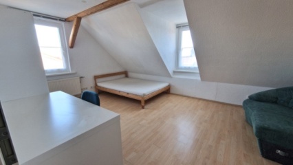 Ad image: Ideal student apartment for individuals or couples