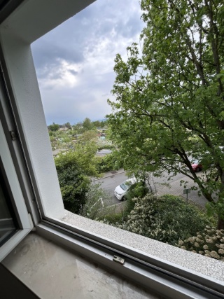 Ad image: 🌿 2-room WG with balcony in Frankfurt-Eschersheim – Freshly renovated & immediately ready for use! 🚇