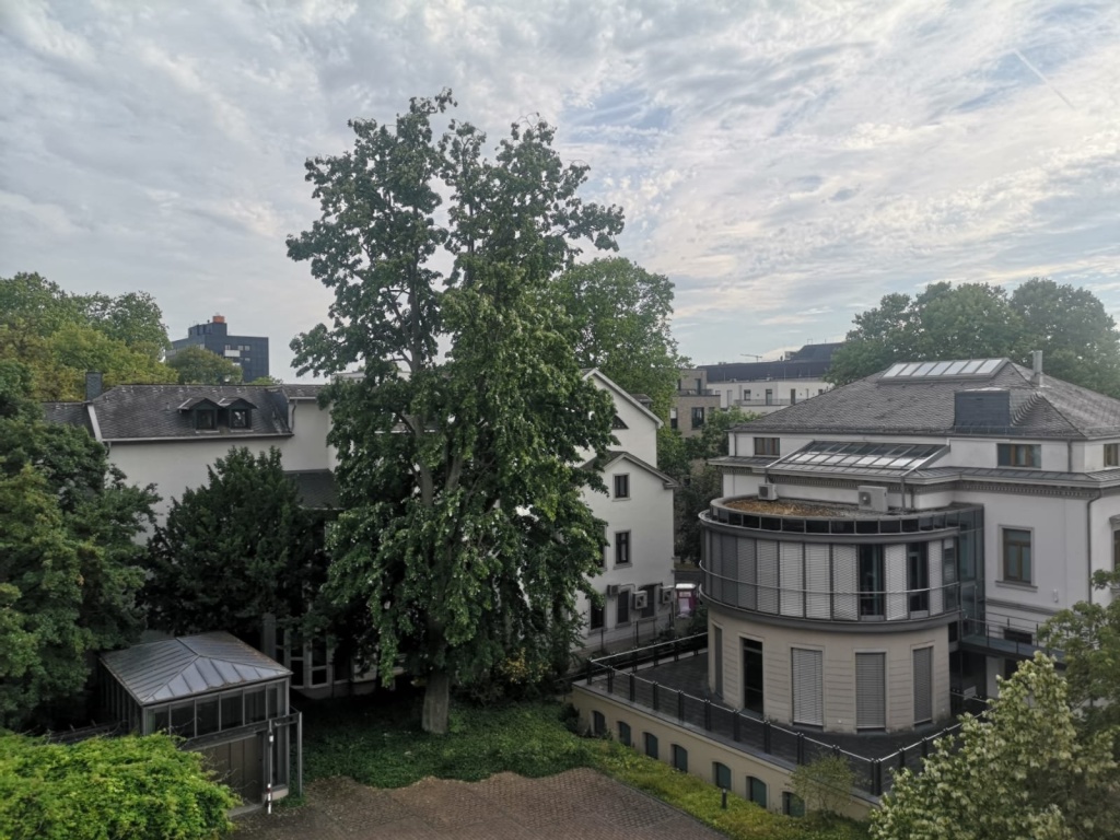 Fully Furnished 2-Room Apartment in Wiesbaden City – 1 September 2026 to 28 February 2027 (All-Inclusive) – Bierstadter str. 3, 65189 Wiesbaden Wiesbaden – Vorschaubild 4
