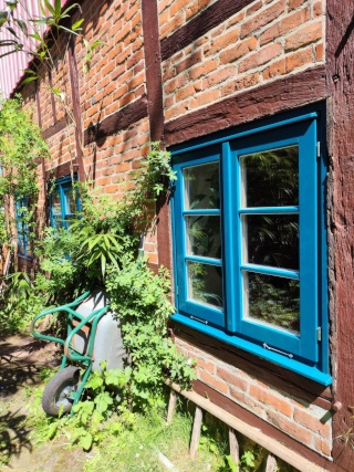 Imagen del anuncio: WG habitaciones en colorida casa WG en el país