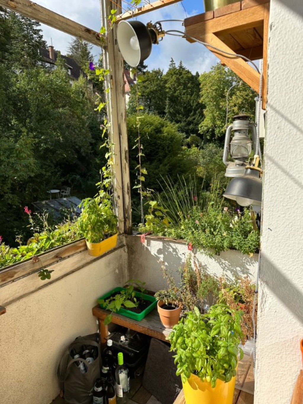 Flatshare West Reinsburgstr.  77 - Beispiel Balkon