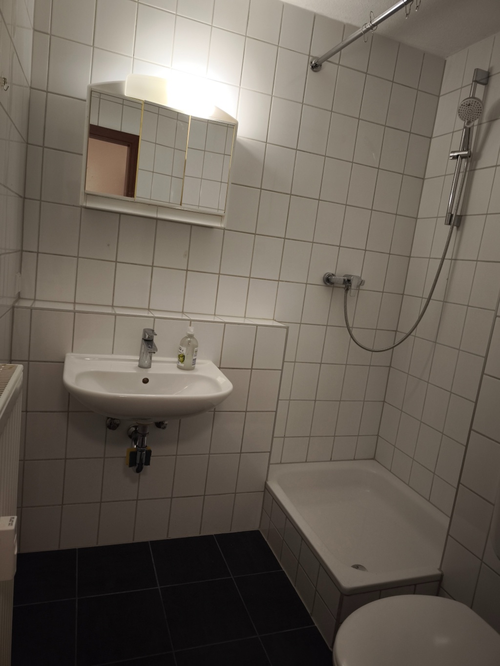 Gemütliche 1-Zimmer-Wohnung mit Pantryküche in Uni nähe – Hafenstrstraße 30, 68159 Mannheim Jungbusch – Vorschaubild 9