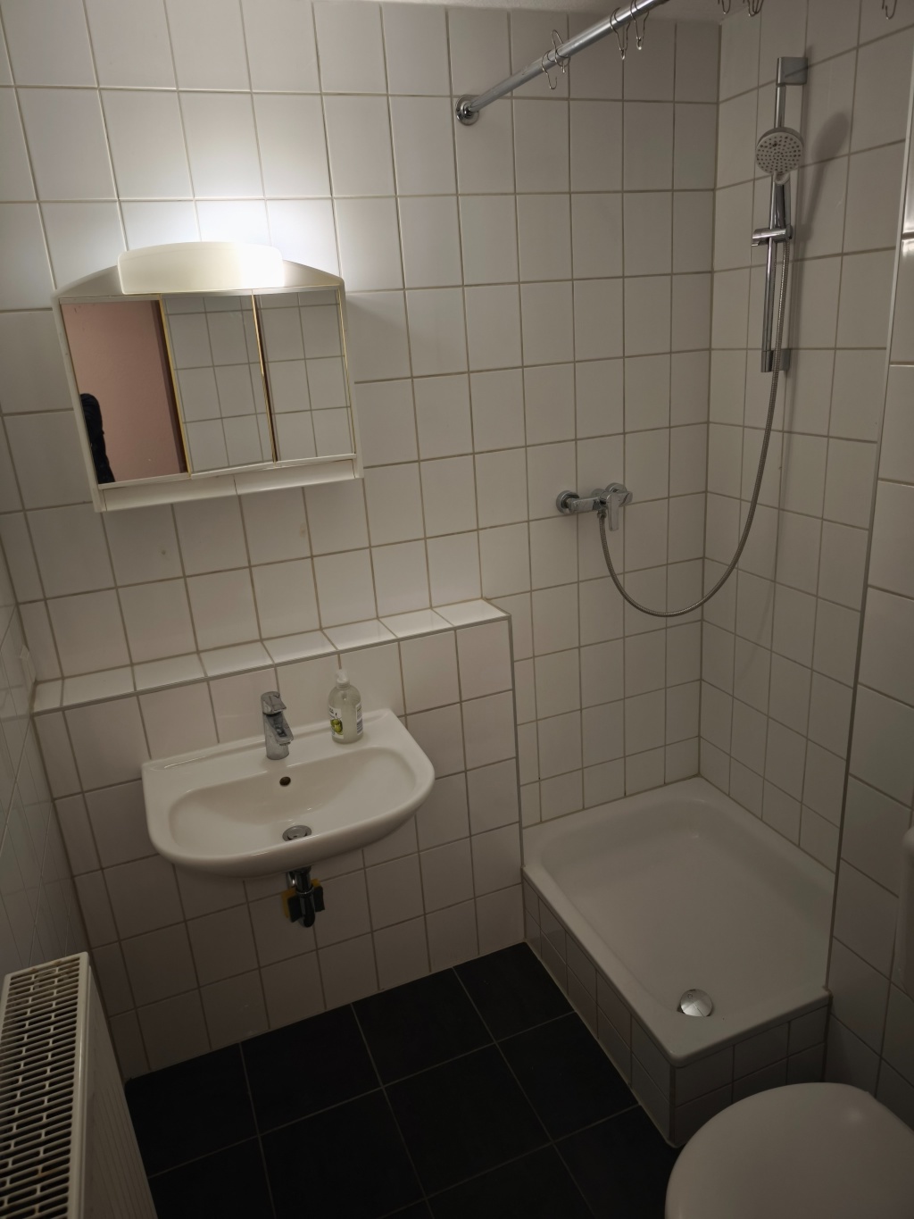 Gemütliche 1-Zimmer-Wohnung mit Pantryküche in Uni nähe – Hafenstrstraße 30, 68159 Mannheim Jungbusch – Vorschaubild 8