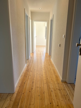 Anzeigenbild: Schöne sanierte 4 Zimmer Wohnung mit Einbauküche neu zu vermieten