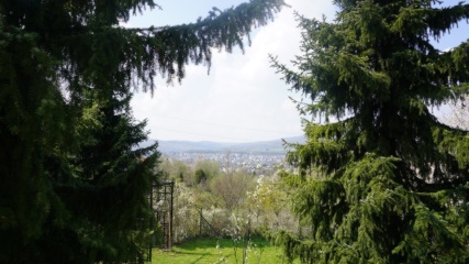 Ad image: 1,5-room apartment with fitted kitchen for commuters *without washing machine connection*