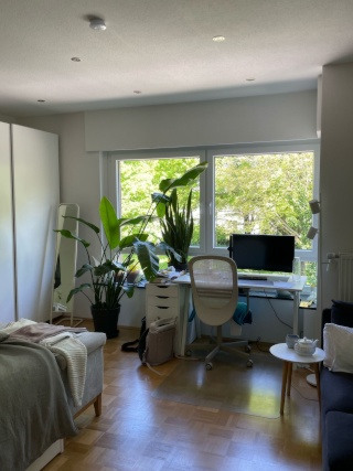 Anzeigenbild: Mitbewohner für Berufs-Wg gesucht: unkompliziert und ordentlich