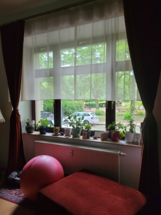 Anzeigenbild: WG-Zimmer mit Ausblick 20m² direkt am Park