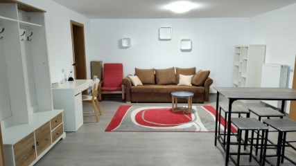 Imagen del anuncio: Möblierte 1,5-Zimmer-Wohnung im Untergeschoss eines Einfamilienhauses (befristete Vermietung)