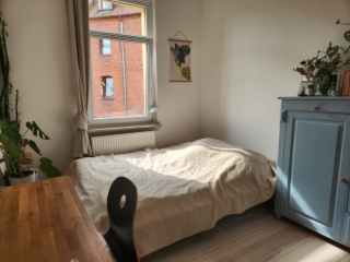 Gemütliche Mädels-WG in der Innenstadt mit Garten:)