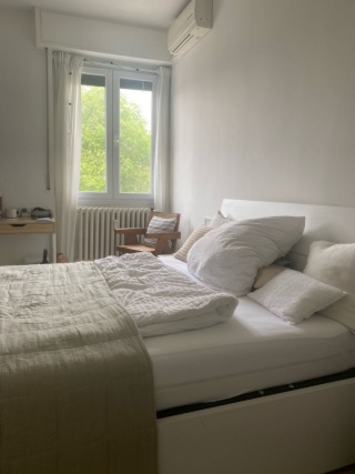 Imagen del anuncio: amplia habitación en apartamento renovado