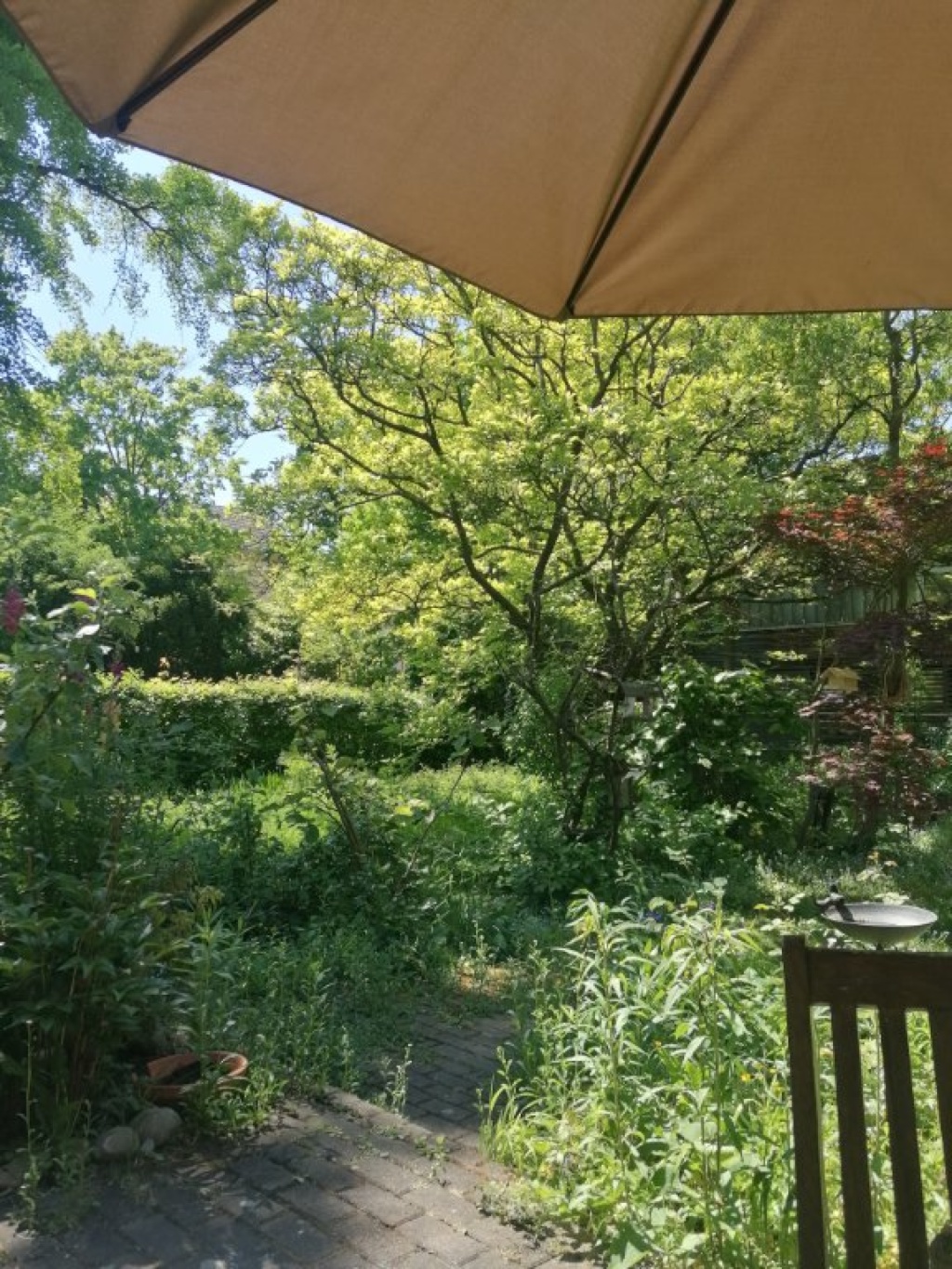 Wohnung Dornbusch Nähe Dornbusch, Sinai Park - Bild 14