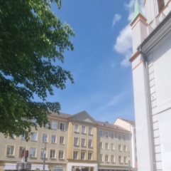 Anzeigenbild: 1 Zimmer zu Vermieten in einer großen WG
