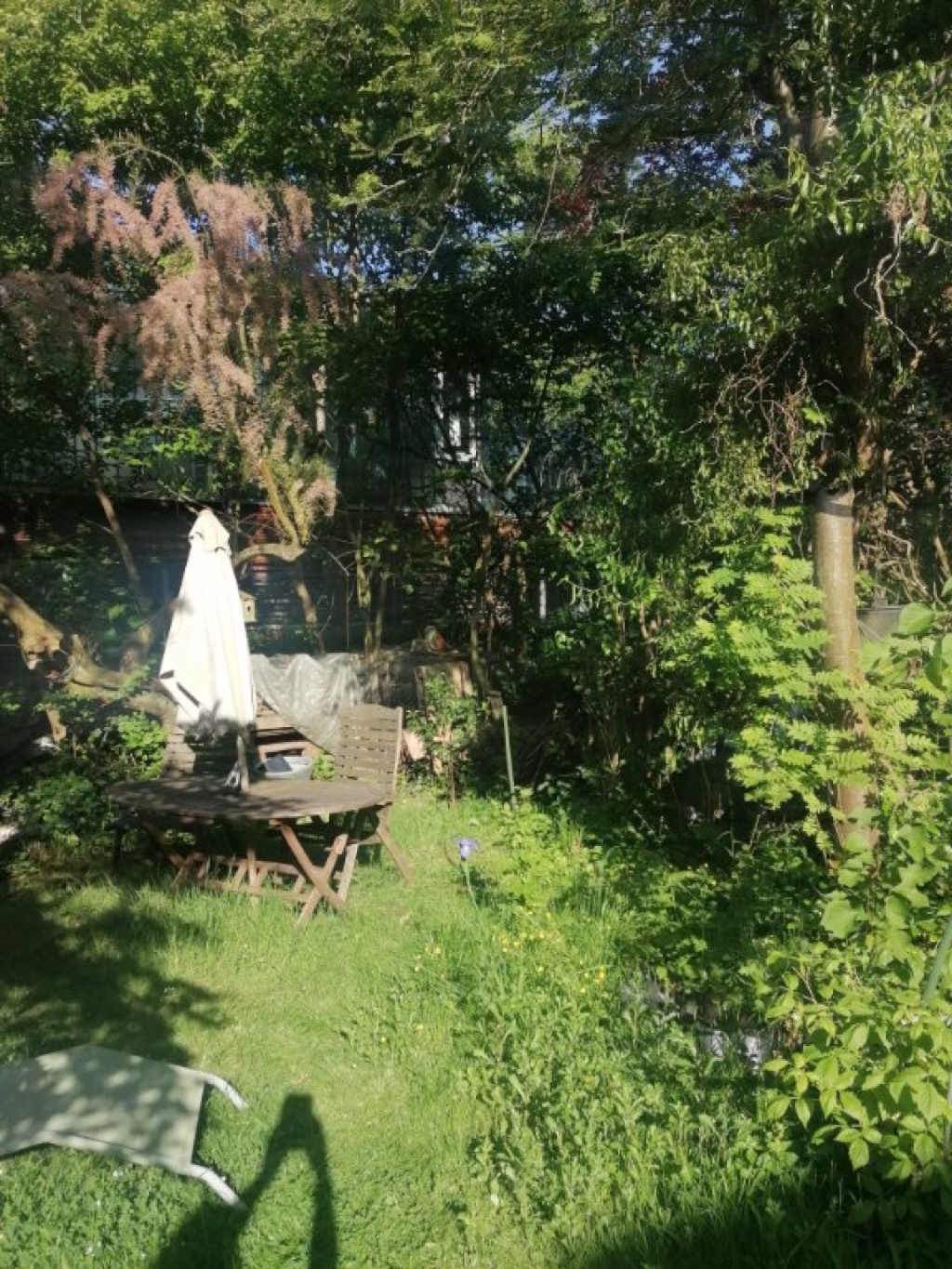 Wohnung Dornbusch Nähe Dornbusch, Sinai Park - Bild 16