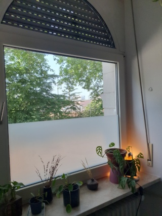 Anzeigenbild: August 2026 /Möblierte Wohnung zur Zwischenmiete-Nähe Hbf