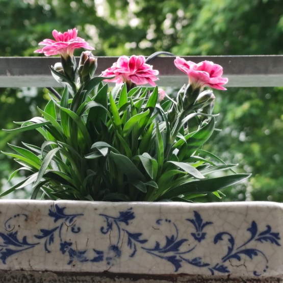 Ad image: I am looking for a cozy apartment in Vellmar/ Kassel or surroundings