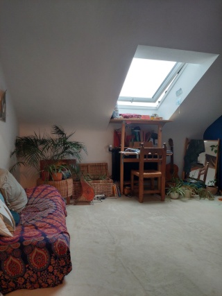 Anzeigenbild: 1 Zimmer Wohnung - 20qm