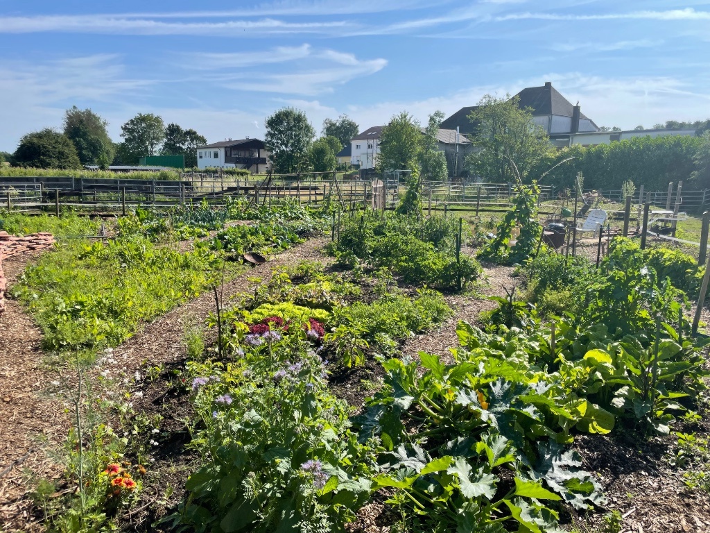 Flatshare Eft Borger Weg - picture 12