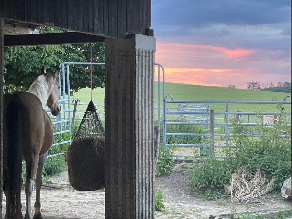 Flatshare Eft Borger Weg - picture 10