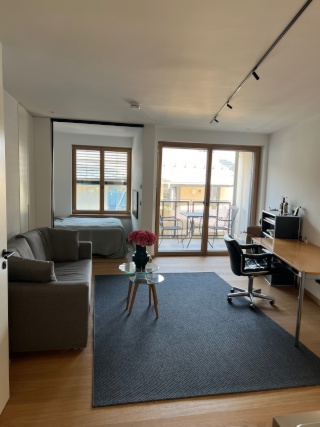 Imagen del anuncio: 1 habitación apartamento fijo (Aug - Dez), en el centro de Bamberg