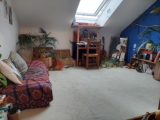 Anzeigenbild: Untervermietung im December- Freiburg Wiehre